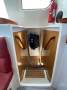 Nautitech 435 Pro 4+2 cabins/4WC, well maintained and operational