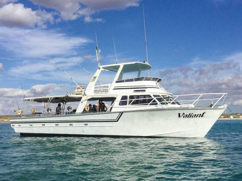 Coral Bay Deep Sea and Game Fishing Charter Opportunity