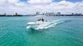 Sea Fox 228 Commander
