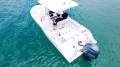 Sea Fox 228 Commander