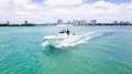Sea Fox 228 Commander
