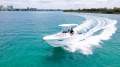 Sea Fox 228 Commander