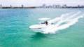 Sea Fox 228 Commander