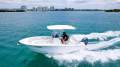 Sea Fox 228 Commander