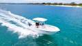Sea Fox 228 Commander