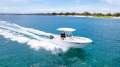 Sea Fox 228 Commander