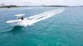 Sea Fox 228 Commander