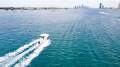 Sea Fox 228 Commander