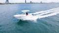 Sea Fox 228 Commander