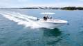 Sea Fox 228 Commander