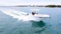 Sea Fox 228 Commander