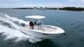 Sea Fox 228 Commander