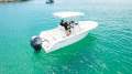 Sea Fox 228 Commander