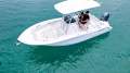 Sea Fox 228 Commander