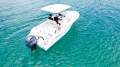 Sea Fox 228 Commander