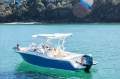 Grady-White Freedom 235
