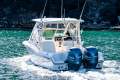 Grady-White Freedom 255