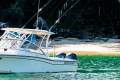 Grady-White Freedom 255