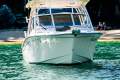 Grady-White Freedom 255