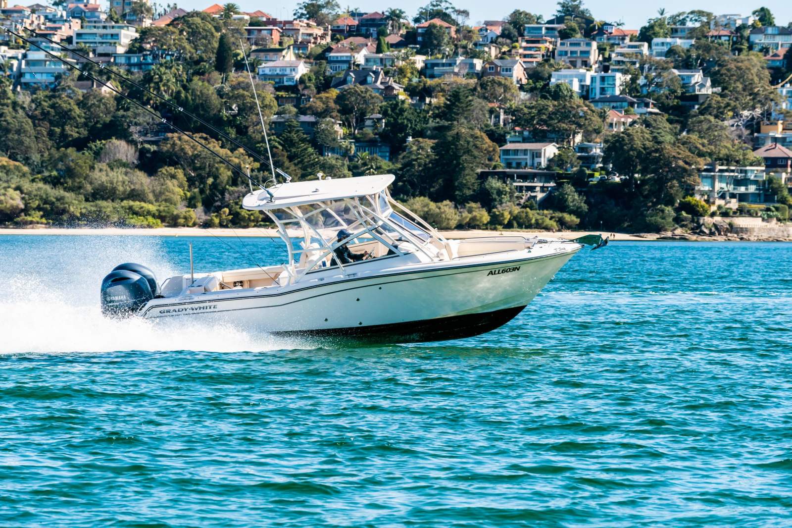 Grady-White Freedom 255