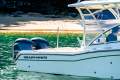 Grady-White Freedom 255