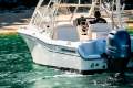 Grady-White Freedom 255