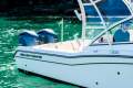 Grady-White Freedom 255