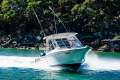 Grady-White Freedom 255