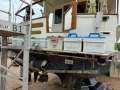 Kong Halvorsen Island Gypsy 36
