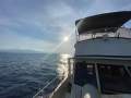 Kong Halvorsen Island Gypsy 36