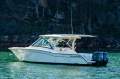 Grady-White Freedom 325