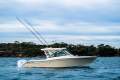 Grady-White Freedom 375