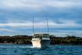 Grady-White Freedom 375