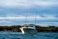 Grady-White Freedom 375