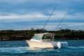 Grady-White Freedom 375