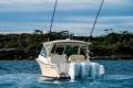 Grady-White Freedom 375