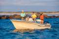 Grady-White Fisherman 180