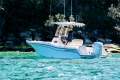Grady-White Fisherman 216
