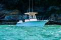 Grady-White Fisherman 216