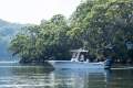 Grady-White Fisherman 236