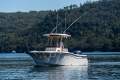 Grady-White Fisherman 236