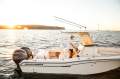 Grady-White Fisherman 257