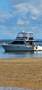 Mariner 38 Flybridge
