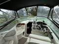 Sea Ray 245 Sundancer NEW motor - 100 hrs