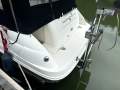 Sea Ray 245 Sundancer NEW motor - 100 hrs