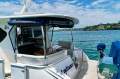 Island Gypsy 400