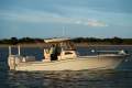 Grady-White 281 CE