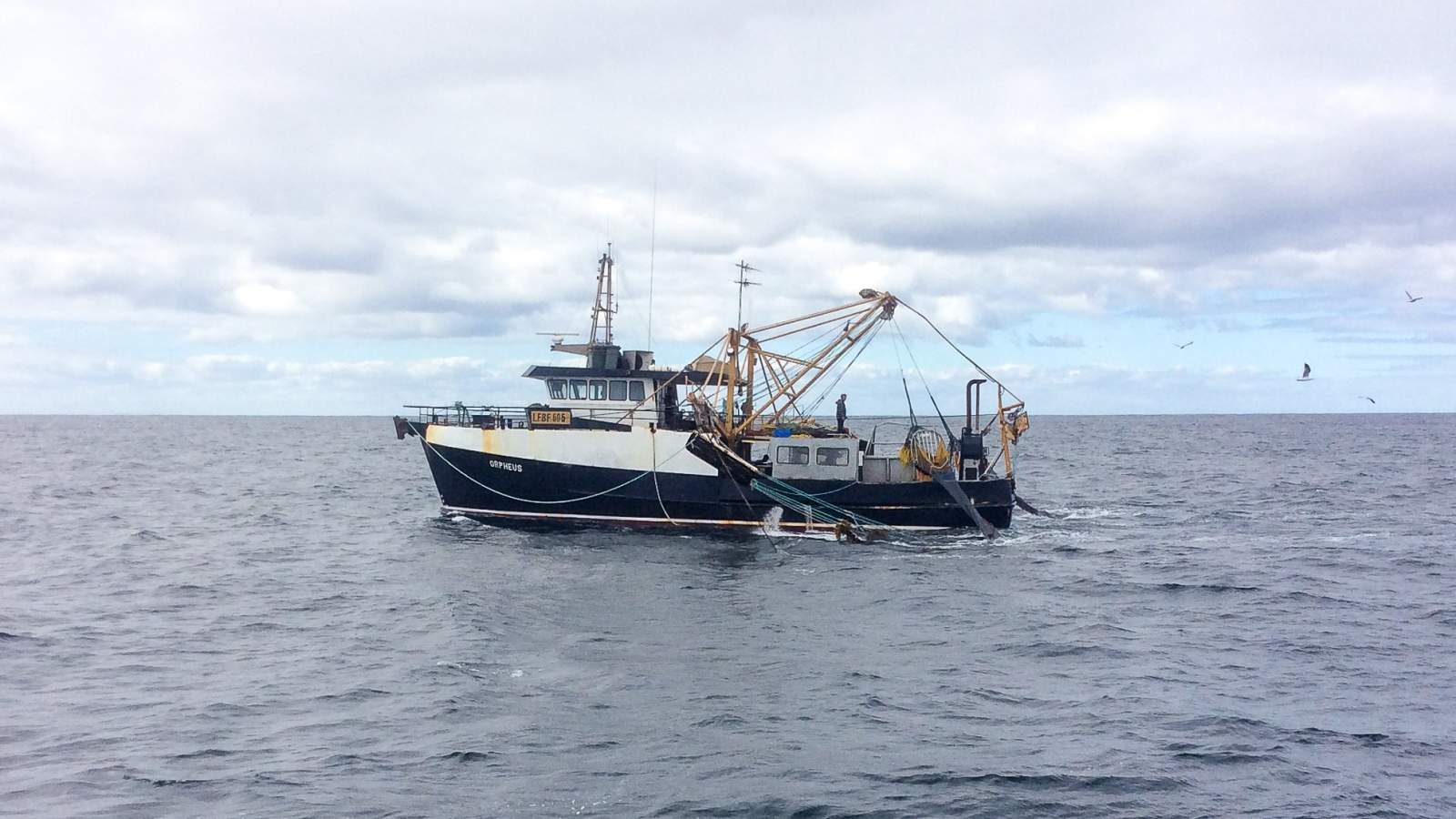 Asi 22.6m Prawn Trawler