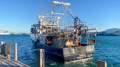 Asi 22.6m Prawn Trawler