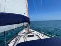 Dufour 44 Performance / Cruise